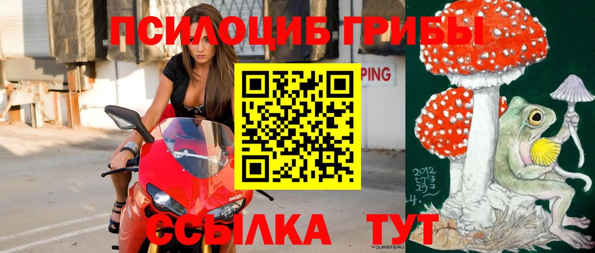 Галлюциногенные грибы MAGIC MUSHROOMS Муравленко