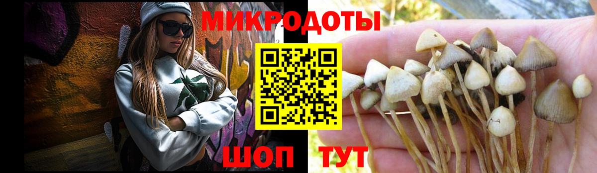 Псилоцибиновые грибы GOLDEN TEACHER  Вход с VPN  Муравленко 